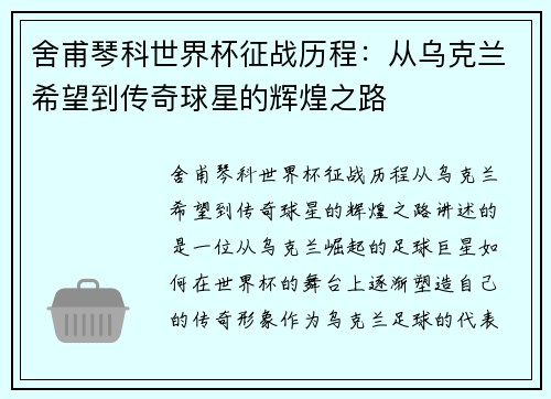 舍甫琴科世界杯征战历程：从乌克兰希望到传奇球星的辉煌之路