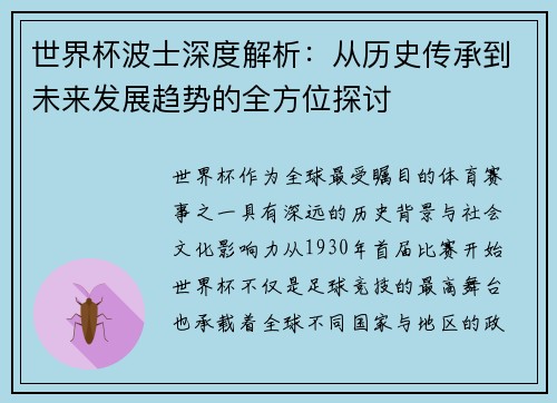世界杯波士深度解析：从历史传承到未来发展趋势的全方位探讨