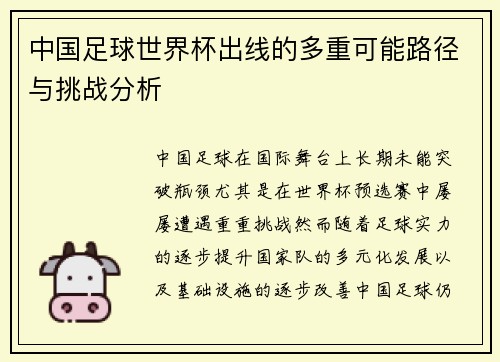 中国足球世界杯出线的多重可能路径与挑战分析